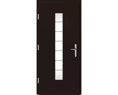 Porte d''entrée avec insert en verre et poignée en acier inoxydable