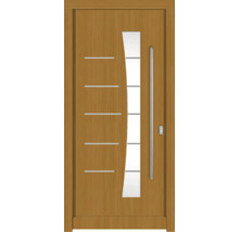 Porte d''entrée avec insert en verre et poignée