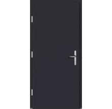 Porte intérieure à un vantail fermée avec poignée de porte