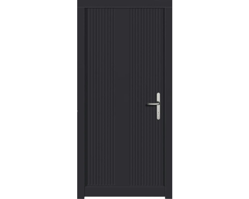 Haustür DW39 Kiefer RAL 7016 anthrazitgrau 1100x2100 mm DIN Rechts (nach innen öffnend) Eingangstür mit Griff