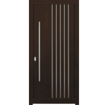 Porte d''entrée avec poignée et éléments décoratifs verticaux