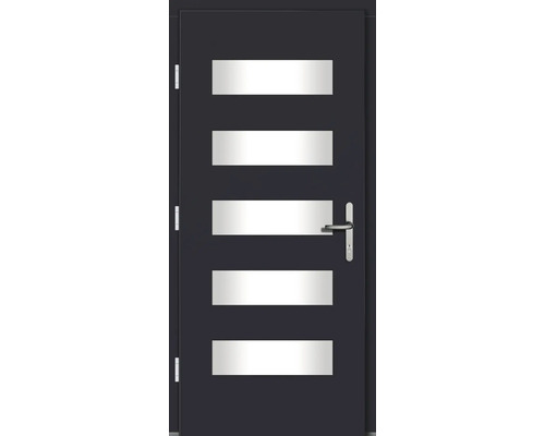 Moderne Tür mit fünf horizontalen Glaseinsätzen und Griff