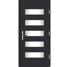 Porte d''entrée avec cinq vitrages rectangulaires et poignée