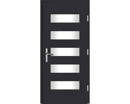 Haustür mit fünf rechteckigen Glaseinsätzen und Griff