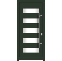 Porte d''entrée moderne avec cinq panneaux de verre rectangulaires et une poignée en acier inoxydable