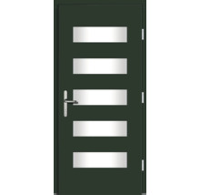 Porte d''entrée avec cinq panneaux de verre rectangulaires et poignée