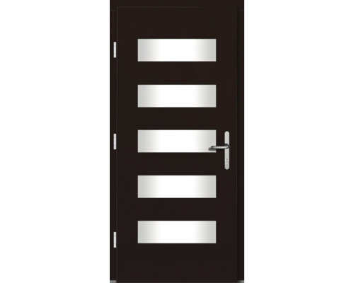 Innentür mit fünf Lichtausschnitten und Türgriff