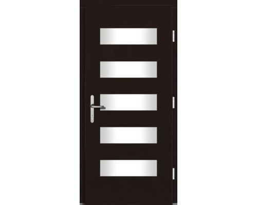 Tür mit fünf rechteckigen Glaseinsätzen und Türgriff