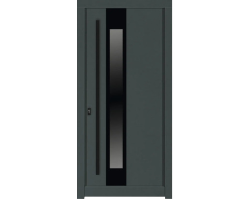 Haustür DW14a Kiefer RAL 6012 schwarzgrün 1000x2100 mm DIN Links (nach innen öffnend) Graue Haustür mit Glaseinsatz und Stangengriff