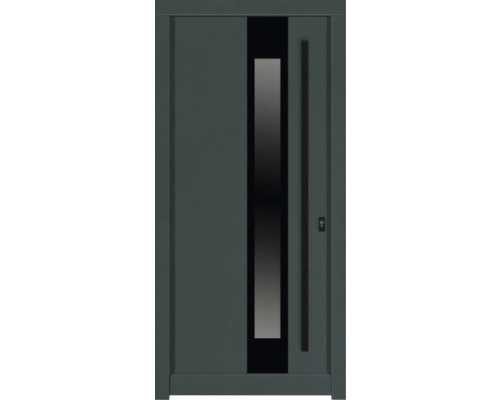 Haustür DW14a Kiefer RAL 6012 schwarzgrün 1000x2100 mm DIN Rechts (nach innen öffnend) Graue Haustür mit Glaseinsatz und Griff