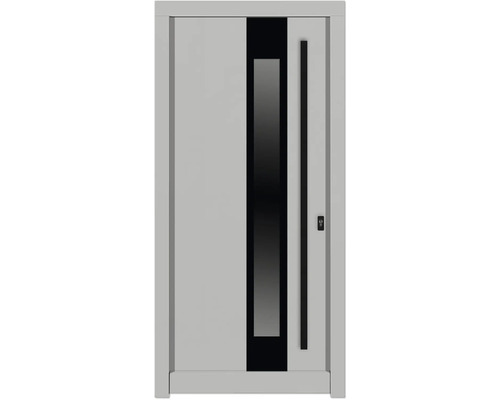 Haustür DW14a Kiefer RAL 9016 verkehrsweiß 1000x2100 mm DIN Rechts (nach innen öffnend) Haustür mit Glaseinsatz und Griffstange