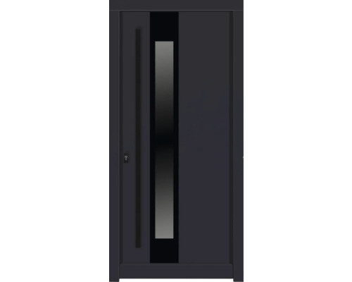 Haustür DW14a Kiefer RAL 7016 anthrazitgrau 1100x2100 mm DIN Links (nach innen öffnend) Aussentür mit Glasausschnitt