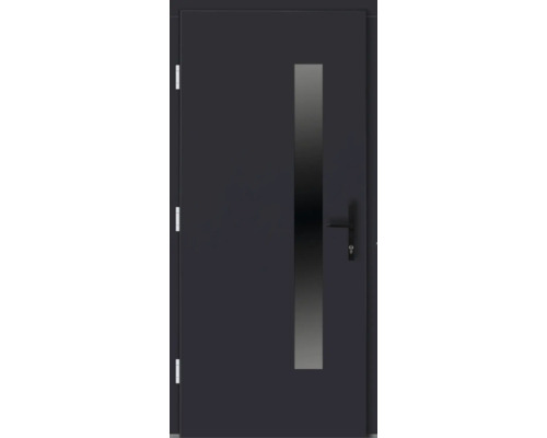 Tür mit Glaseinsatz und Beschlägen