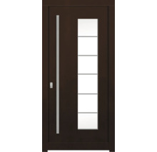 Dunkle Haustür mit Glaseinsatz und Metallgriff