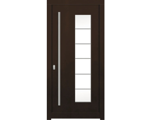 Dunkle Haustür mit Glaseinsatz und Metallgriff