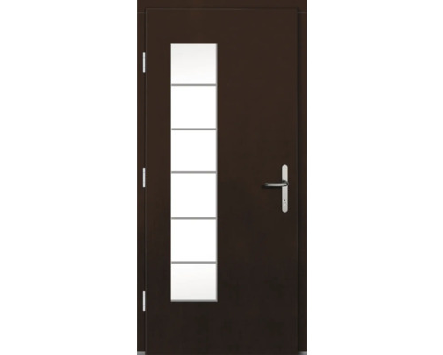 Braune Haustür mit Glaseinsatz und silberfarbener Türklinke