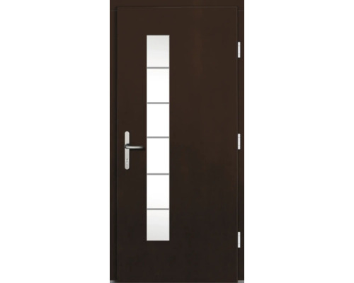 Porte intérieure foncée avec insert en verre et poignée de porte en acier inoxydable