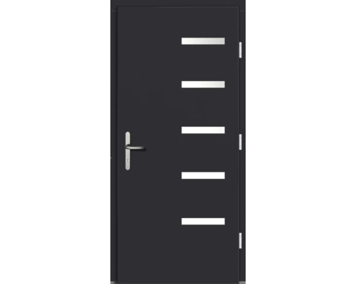 Außentür mit fünf rechteckigen Lichtausschnitten und Türgriff