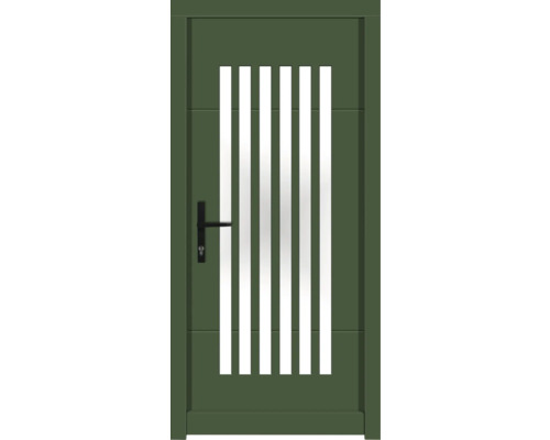 Haustür DW25 Kiefer RAL 6000 patinagrün 1000x2100 mm DIN Links (nach innen öffnend) Grüne Haustür mit fünf Lichtausschnitten