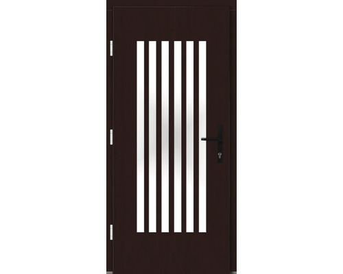 Braune Haustür mit fünf Lichtausschnitten und Türgriff