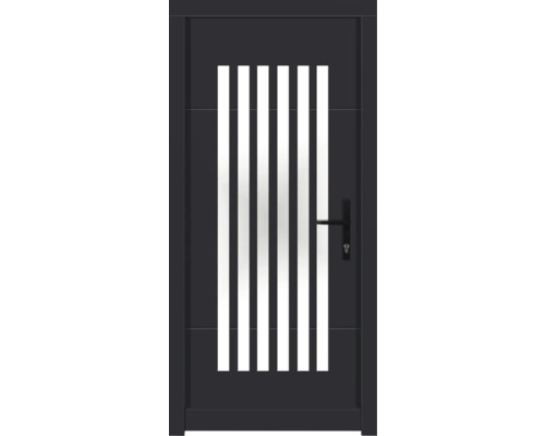 Porte d'entrée DW25 pin RAL 7016 gris anthracite 1000x2100 mm tirant droit (ouverture vers l'intérieur) Porte d''entrée avec cinq vitrages et poignée