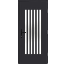 Porte en acier avec cinq ouvertures