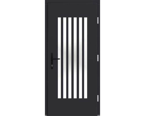 Stahltür mit fünf Lichtausschnitten