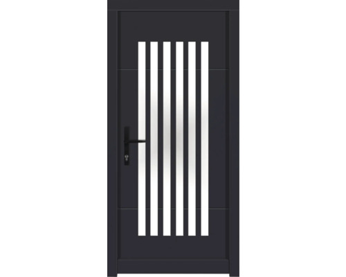 Haustür DW25 Kiefer RAL 7016 anthrazitgrau 1000x2100 mm DIN Links (nach innen öffnend) Anthrazitfarbene Haustür mit Glaseinsätzen