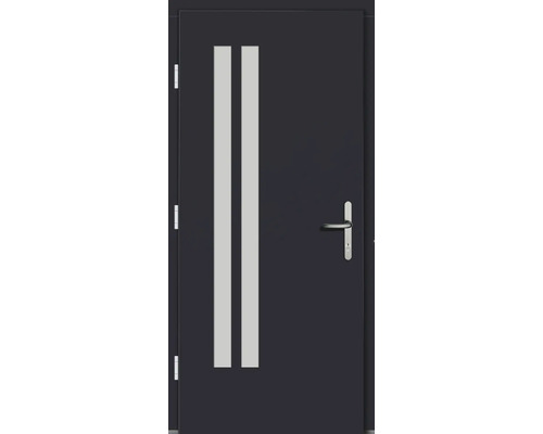 Haustür mit zwei Lichtausschnitten und Griff