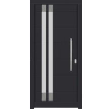 Porte d''entrée avec deux panneaux de verre verticaux et poignée