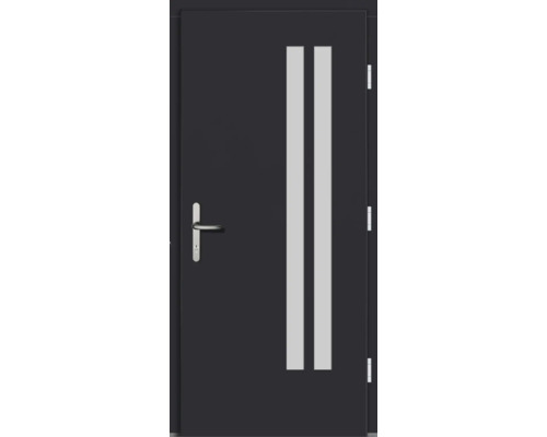 Haustür mit zwei Glaseinsätzen und Griff