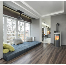 Heller Wohnraum mit Fensterbank, Projektor und Kaminofen.