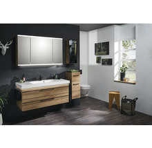 Modernes Badezimmer mit Waschtisch, Spiegelschrank, Seitenschrank und Toilette.