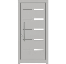 Moderne Haustür mit Griff und Lichtausschnitten