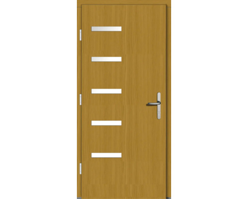 Holztür mit horizontalen Lichtausschnitten und Türgriff