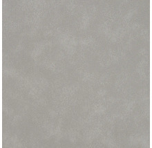 Carrelage mural autocollant Wall Tiles Uni gris clair 15,25 x 15,25 cm 6 pces
