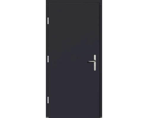 Metalltür mit Griff