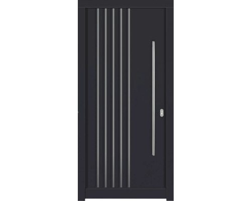 Haustür DW54 Kiefer RAL 7016 anthrazitgrau 1100x2100 mm DIN Rechts (nach innen öffnend) Haustür mit Edelstahlgriff und Zierleisten