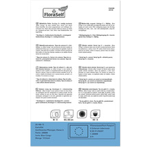 Informations sur les pommes de terre Blue Congo