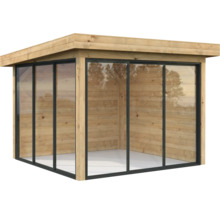 Abri de jardin en bois avec éléments en verre