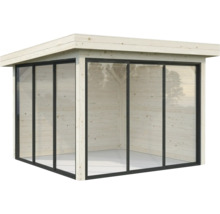 Abri de jardin en bois avec façade en verre