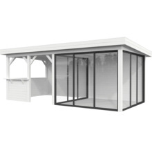 Abri de jardin en bois avec façade en verre
