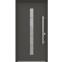 Haustür mit Glaseinsatz und Stangengriff