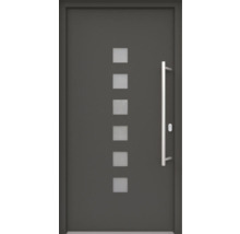 Haustür mit Lichtausschnitten und Griff