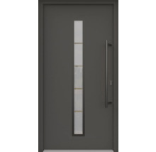 Graue Haustür mit Glaseinsatz und Griff