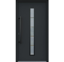 Moderne Haustür mit Glaseinsatz und Griff