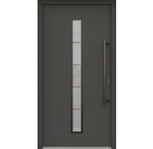 Graue Haustür mit Glaseinsatz und Griff
