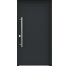 ARON HaustürBasic 3101 Aluminium-Kunststoff-Verbund RAL 7016 anthrazitgrau 1000x2100 mm beidseitig flügelüberdeckend DIN Links inkl.Stoßgriffset,Innendrücker in Edelstahl,Profilzylinder mit 3 Schlüsseln