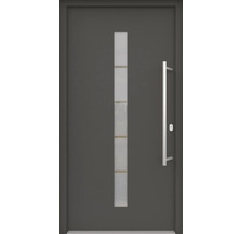 Graue Haustür mit Glaseinsatz und Griff