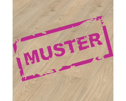 Échantillon de stratifié Nature Sense Conway chêne naturel plancher de maison de campagne 1292 x 246 x 8 mm Échantillon de stratifié Nature Sense Conway chêne naturel plancher de maison de campagne 1292 x 246 x 8 mm